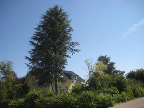 Haus Lärche